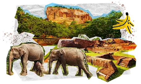 04 Tappe Viaggio DESKTOP Sri Lanka NO TUKTUK